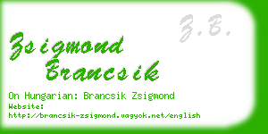 zsigmond brancsik business card